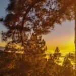 the-painful-end-nguyen-duy-tri-•-the-last-sunshine-•-2022-2