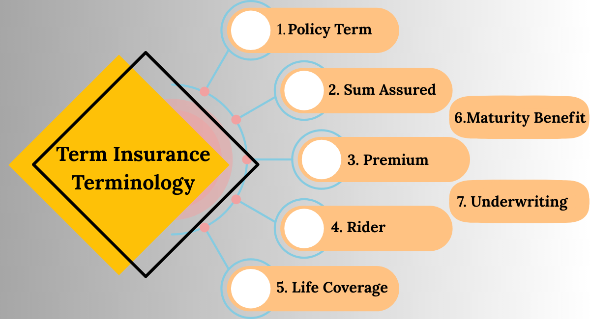 Term Insurance Terminology: Must-Know Concepts for Policy Buyers term insurance terminology